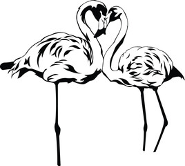 Cartoon Black and White Isolated Illustration Vector Of 2 Flamingos Standing Up