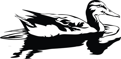 Cartoon Black and White Isolated Illustration Vector Of A Duck Swimming
