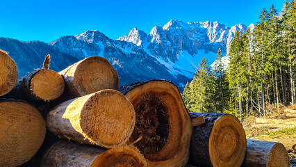 Massive pile of logs with scenic view of Karawanks mountain range in Carinthia, Austria. Looking at...