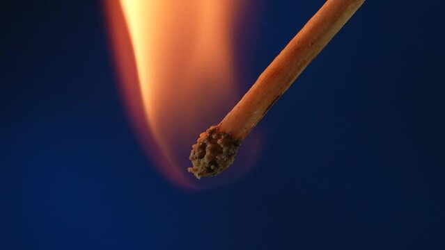 Macro video captures the moment of ignition of the match and its flame on a blue background. From the flare up to the bright burning. The red sulfur of the match flashes fire and the wood burns.