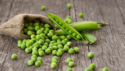 Fresh green peas with pod in burlap sack on wooden  background, healthy green vegetable or legume ( pisum sativum )