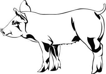 Cartoon Black and White Isolated Illustration Vector Of A Farm Pig Piglet Standing Up