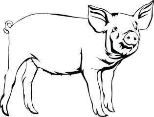 Cartoon Black and White Isolated Illustration Vector Of A Farm Pig Piglet Standing Up
