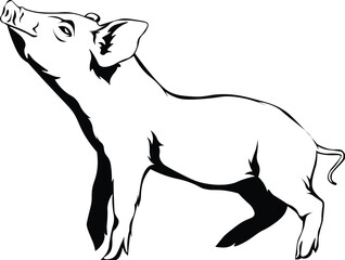 Cartoon Black and White Isolated Illustration Vector Of A Farm Pig Piglet Standing Up