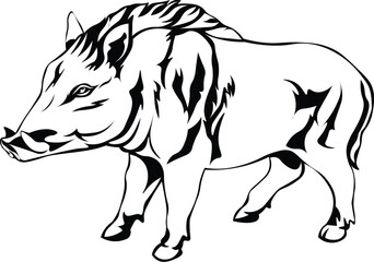 Cartoon Black and White Isolated Illustration Vector Of A Wild Boar Hog Standing Up