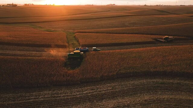 Iowa Corn Harvest Aerial Tracking Shot