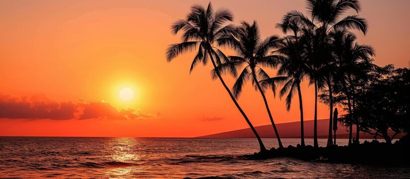 Palm trees and a radiant orange sun create sunset silhouettes.