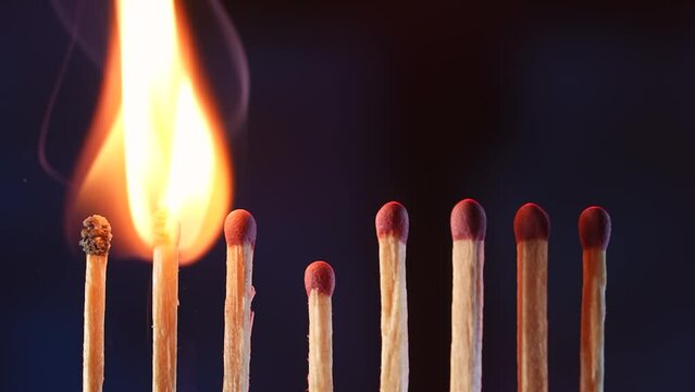 A row of matches where one flares up and passes its fire to the next. Cascade of flame, transfer of energy. Macro shot of the transition of flame from one match to another.
