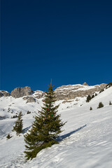 Christmas decorated fir tree in the snow with a blue sky in the mountains