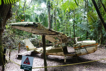 Cocksbomb Basin Wildlife Sanctuary - Belize - Plane Wreck