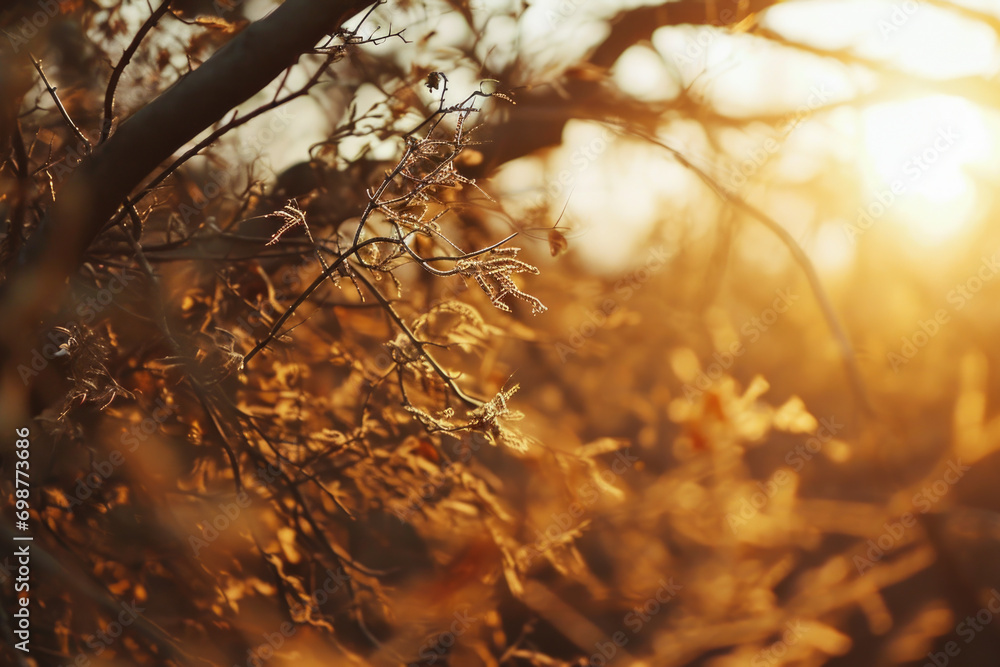 Poster sunlight filters through the branches of a tree, creating a beautiful and serene scene. this image c