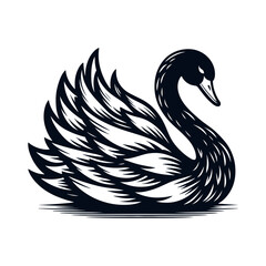 elegant black swan vector sketch © Satoru Sketches