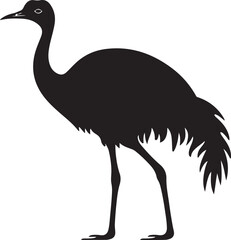 Vector Silhouette of Emu Wildlife