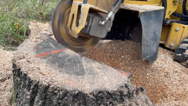 Stump removal by grinding