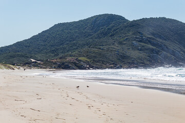 Fototapeta na wymiar Praia do Santinho Canto Norte 