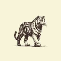 Hand-drawn Illustration of a Tiger walking forward