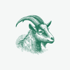 Handdrawn Illustration of a Goat Head
