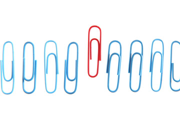 Row of blue paperclips with one unique red one standing out from the others - obrazy, fototapety, plakaty