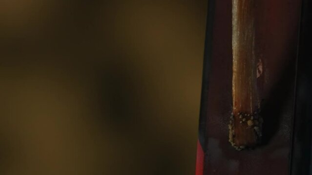 Macro shot in the dark where a match strikes a match against a firebrand on a matchbox and bursts into flame. The moment of ignition of the match. Tongues of flame illuminate the dark background.