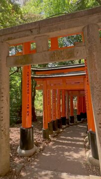 Torii gates in Fushimi Inari Shrine, Kyoto, Japan
