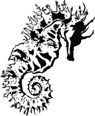 Cartoon Black and White Isolated Illustration Vector Of A Seahorse 