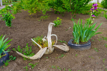White swan made from an old car tire. Background with selective focus and copy space