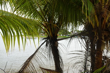Belize - Monkey River Town