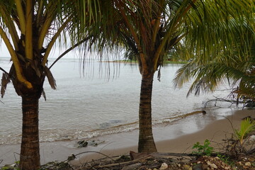 Belize - Monkey River Town