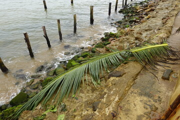 Belize - Monkey River Town