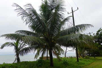 Belize - Monkey River Town
