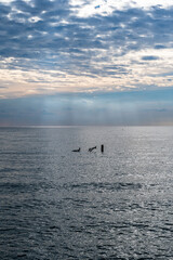 Obraz premium Grado, Italy - November 19th, 2023: View of the sea from the dam. Magical beams of light that start from the clouds and create a suggestive atmosphere. Filtering light on a sunny day.