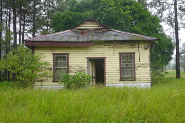 Belize - Mountain Pine Ridge Forest Reserve