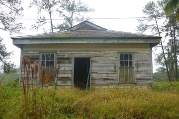 Belize - Mountain Pine Ridge Forest Reserve