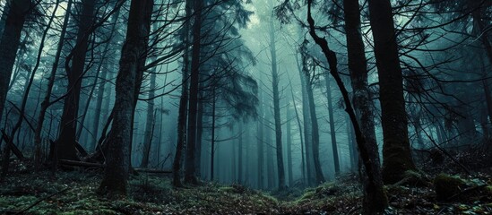 Naklejka premium Darkness engulfs life in the woods.