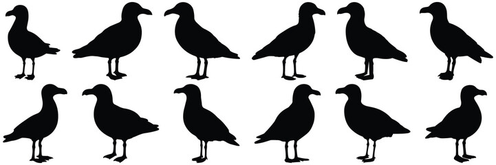 Bird seagull silhouettes set, large pack of vector silhouette design, isolated white background