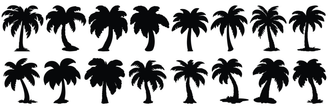 Palm tree silhouettes set, large pack of vector silhouette design, isolated white background