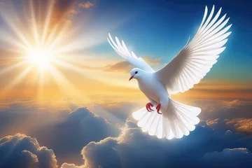 Fotobehang White dove flying on blue sky soaring in the rays of light. .Spirit of god, symbol of peace and love. Generative AI  © svf74