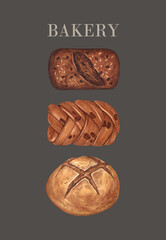 Fresh baked bread of sourdough. Homemade wheat bread, loaf and bun. Watercolor hand drawn illustration, isolated on grey background. Food menu concept is for a bakery or cafe.