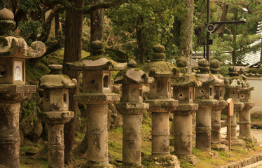 Steinlaternen in Japan nahe dem Todai Tempel in Nara