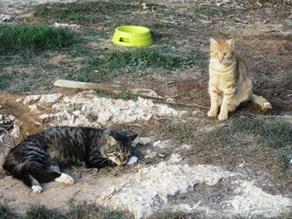 Famagusta auf der Insel Zypern