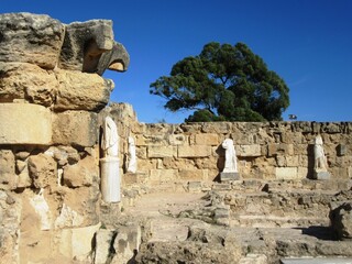 Die antiken Ruinen der Stadt Salamis auf Zypern in der Nähe von Famagusta