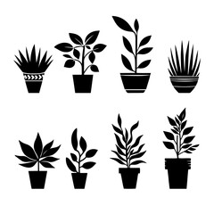 Vector illustration. Silhouette of flowers in pots. Large set of plants.