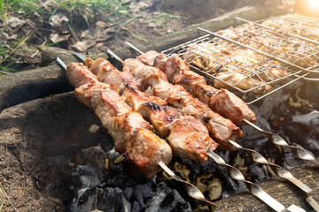 grilled meat on skewers in nature. barbecue recreation in the fresh air
