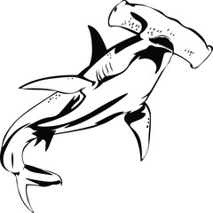 Cartoon Black and White Isolated Illustration Vector Of A Hammerhead Shark Swimming