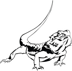 Cartoon Black and White Isolated Illustration Vector Of A Bearded Dragon Lizard