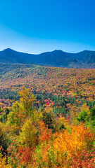 Fototapeta premium Autumn foliage in fall season. Red autumn landscapes in fall, trees and mountains of New England