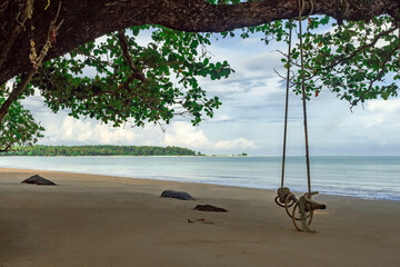 Rope swing on the wonderful beach. Sea scape view.