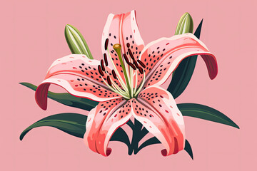 Illustration of a stargazer lily on a flat pink background