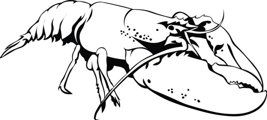 Cartoon Black and White Isolated Illustration Vector Of A Lobster with Large Claw