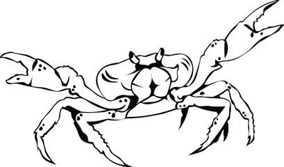 Cartoon Black and White Isolated Illustration Vector Of A Crab with Large Claws